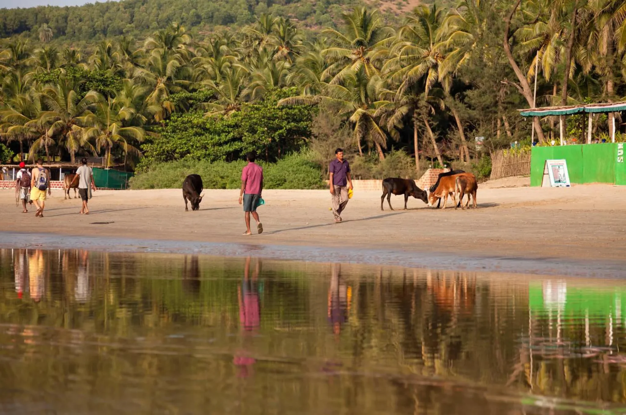 Top 5 Beaches in Gokarna